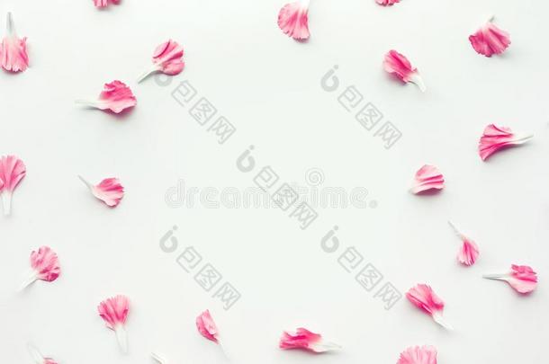 白色的纸卡片和花瓣花向白色的背景.平的放置.