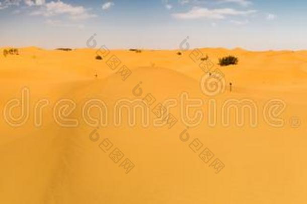 沙漠沙坡头,宁夏,中国
