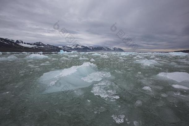 海景画在近处大的摩纳哥冰河