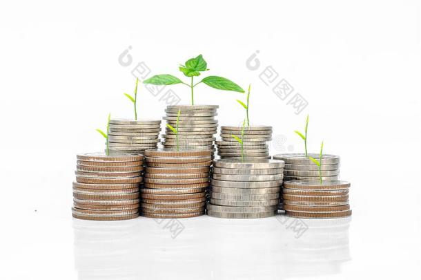 植物生长的采用储蓄coinsurance联合保险/投资和整体