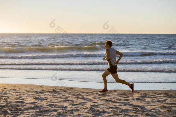 运动员的适合和强的赛跑者男人训练向夏日落比衣