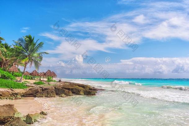 热带的沙的海滩向加勒比海海.<strong>墨西哥</strong>.