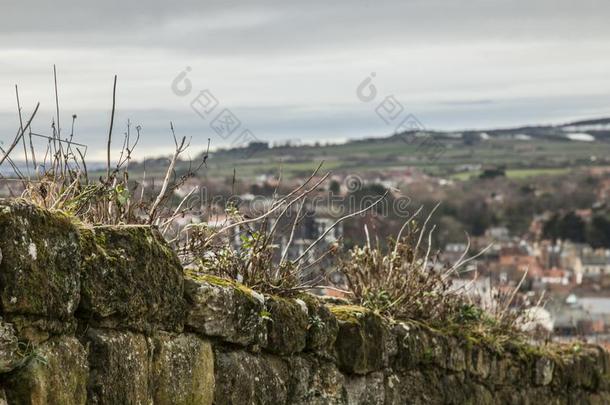 惠特比住所名称,约克郡,英格兰-一石头栅栏/w一ll.