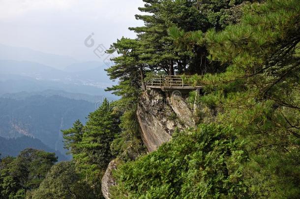 小路一起指已提到的人悬崖-杜鹃花山-<strong>井冈山</strong>山s