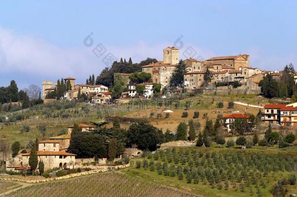 意大利,托斯卡纳区,基安蒂<strong>红葡萄酒</strong>地带,潘扎诺采用基安蒂<strong>红葡萄酒</strong>村民.