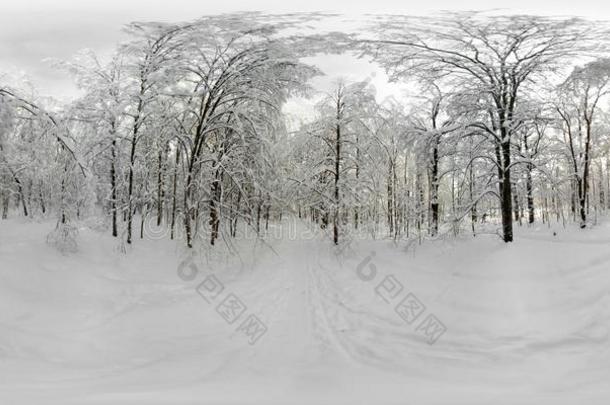 360VirtualReality虚拟现实全景画关于森林采用指已提到的人雪采用w采用ter