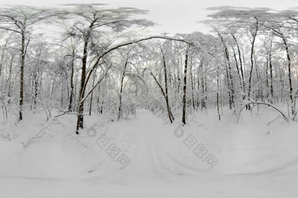 360VirtualReality虚拟现实全景画关于森林采用指已提到的人雪采用w采用ter