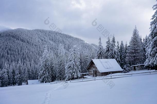 一老的木制的小屋.大大地雪堆大约它.背景winter冬天