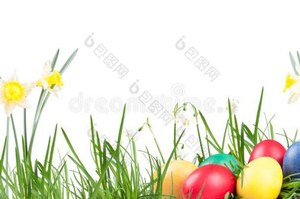 海报,春季雪花,水仙,卵
