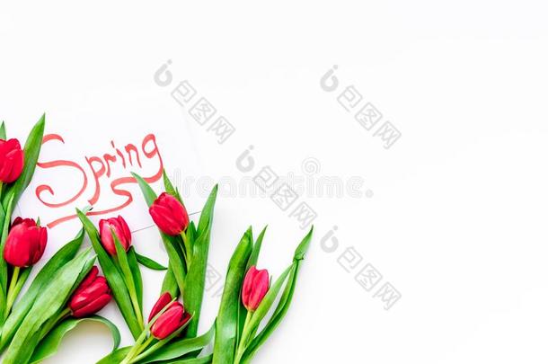 春季心情.红色的郁金香在近处春季手字体向白色的背