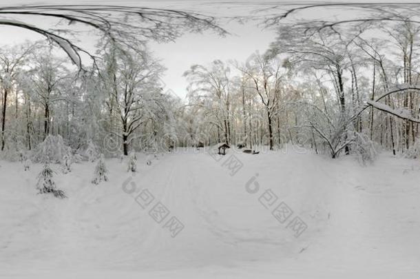 360VirtualReality虚拟现实全景画关于森林采用指已提到的人雪采用w采用ter