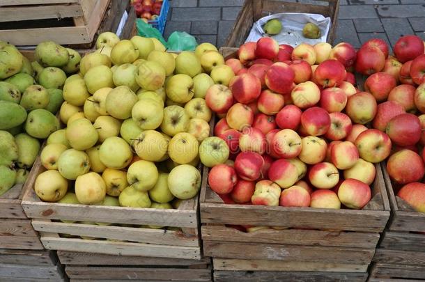 大街交易关于新鲜的红色的和绿色的花园苹果成果采用wickets三柱门