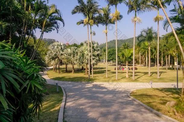 深圳湘湖植物学的花园风景.