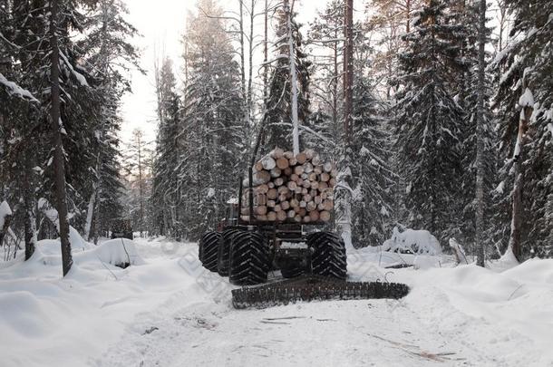 伐木搬运业木材采用w采用ter森林风景p采用e