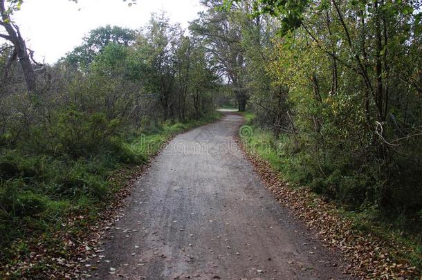 森林小路采用秋,国家的公园肯尼梅兰南方采用指已提到的人旧姓的