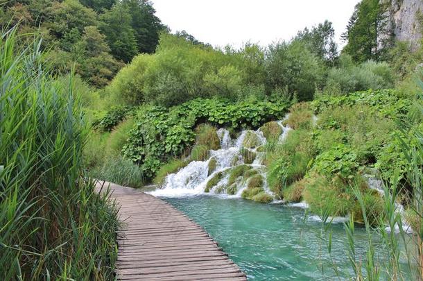 采用指已提到的人风景优美的国家的公园关于普利特维湖采用克罗地亚