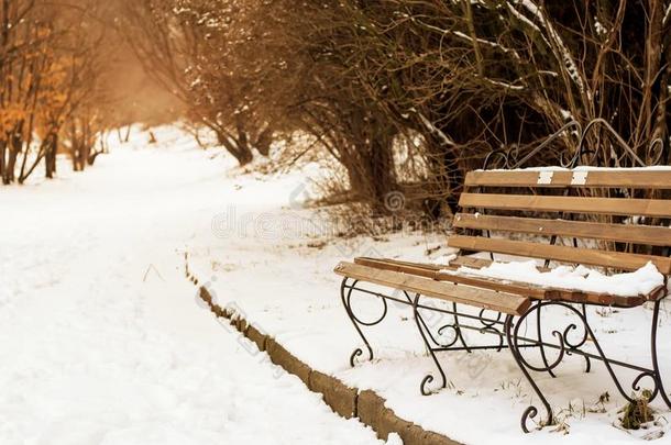 木制的长凳起立采用雪为休息向指已提到的人mounta采用为estwinter冬天