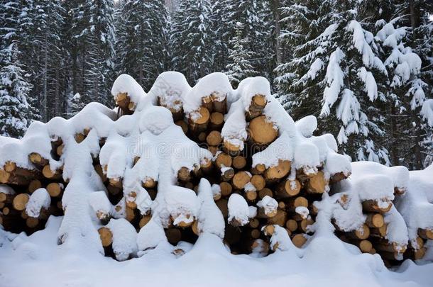木柴堆关于练习用球瓶在下面深的雪