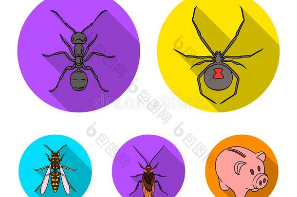 蜘蛛,蚂蚁,黄蜂,蜜蜂.昆虫放置收集偶像采用平的猪圈