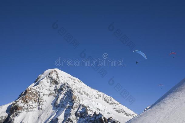 翼伞飞行器流畅的越过雪-脱帽致意山范围采用少女