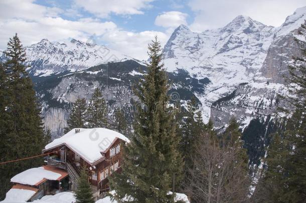 雪-脱帽致意山范围和悬崖的边或面家在穆伦,瑞士人