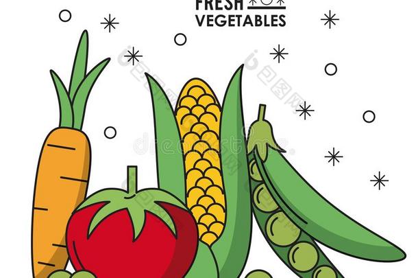 富有色彩的<strong>海报</strong>新鲜的蔬菜胡萝卜番茄豌豆和雄天<strong>鹅</strong>谷物