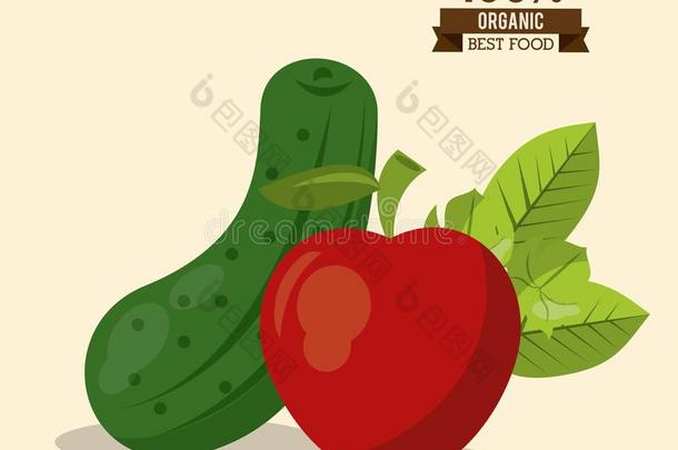 富有色彩的海报关于<strong>有机</strong>的最好的食物和黄瓜和苹果