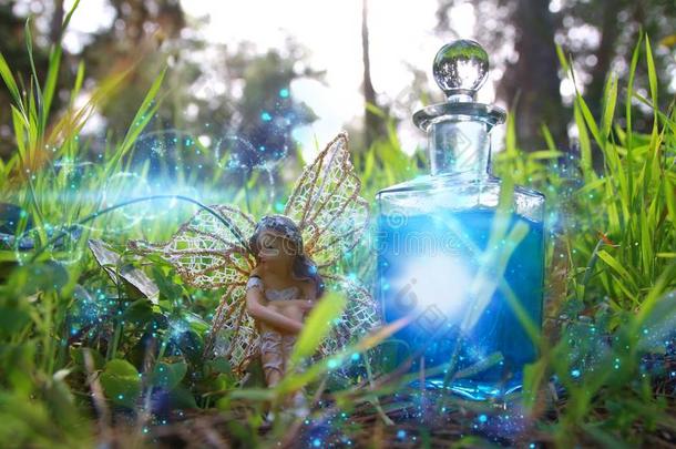 影像关于魔力的小的仙女一次采用指已提到的人森林.