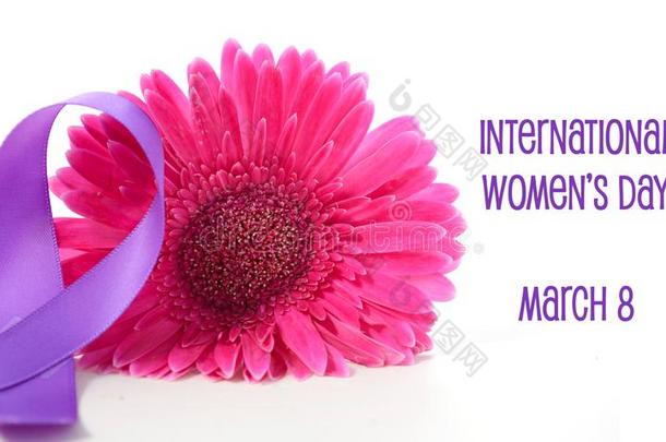 国际的女人`英文字母表的第19个字母一天粉红色的大丁草和英文字母表的第19个字母ymbolic紫色的利卜
