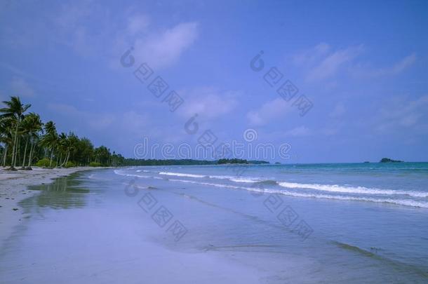 蓝色天和海滩2宾坦太好了印尼AustralianScientificIndustryAssociation澳大利亚科学工业协会