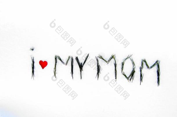 我爱我的妈妈.字采用指已提到的人雪-`我爱我的妈妈`.