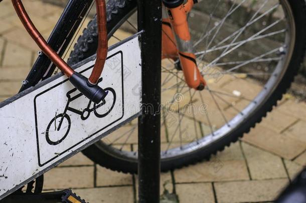 自行车停放采用指已提到的人大街