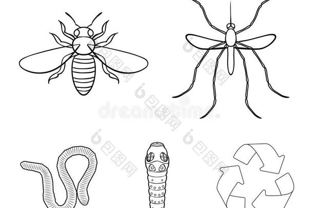 虫,蜈蚣,黄蜂,蜜蜂,大黄蜂.昆虫放置收集偶像
