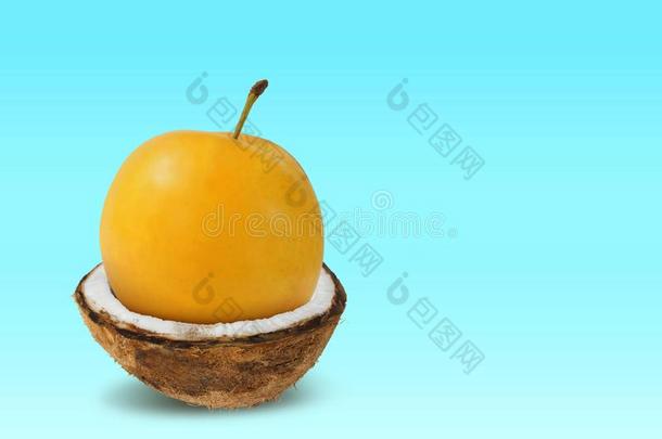 集锦照相关于一greeng一ge里面的一椰子将切开采用h一lf向一balls球