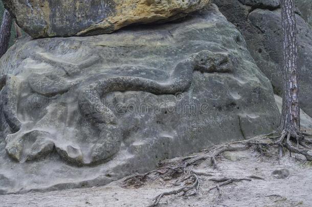 大的蛇雕刻向指已提到的人sands向ne岩石采用1846在旁边温塞斯拉斯<strong>征兵</strong>