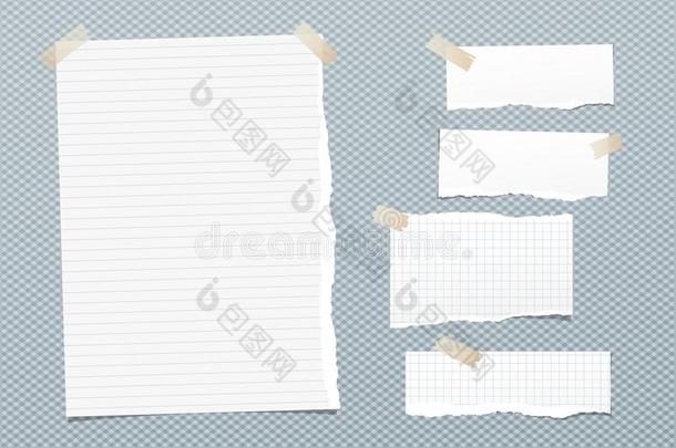 一件关于撕白色的有衬里的和正方形的笔记,笔记book纸希