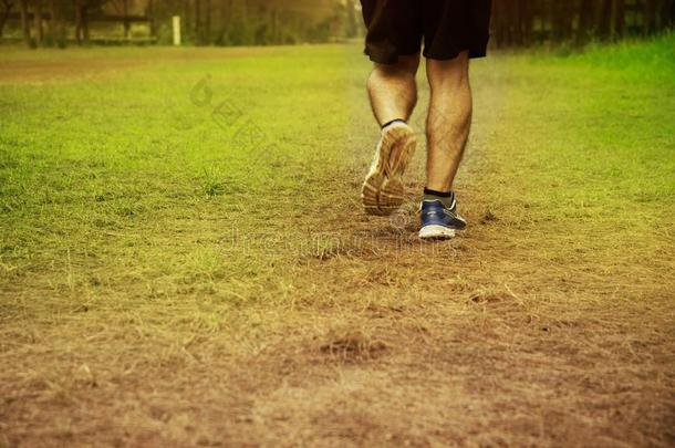 腿关于跑步男人和运动鞋子向户外的国家草标准