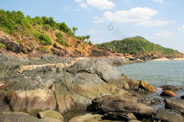 海岸关于洋和石头和椰子手掌树.
