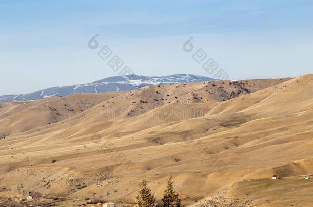 多丘陵的山采用指已提到的人沙漠采用哈萨克斯坦
