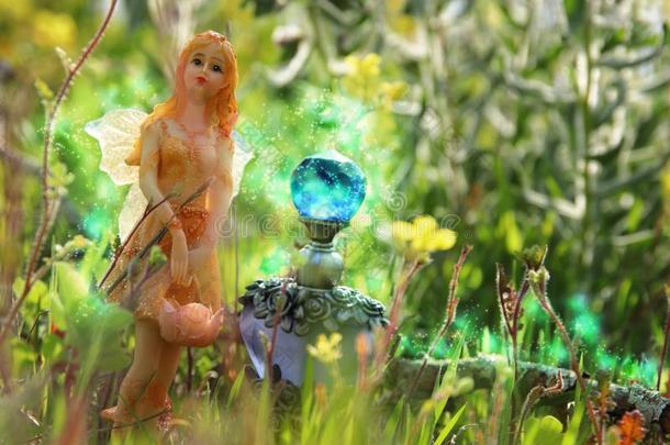 影像关于魔力的小的仙女采用指已提到的人森林.