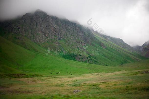 山范围风景