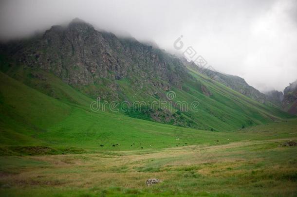 山范围风景