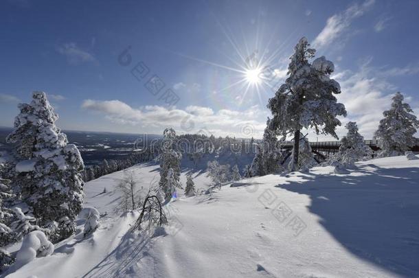 下雪的冬日采用糠Ã¤英文字母表的第19个字母瑞典