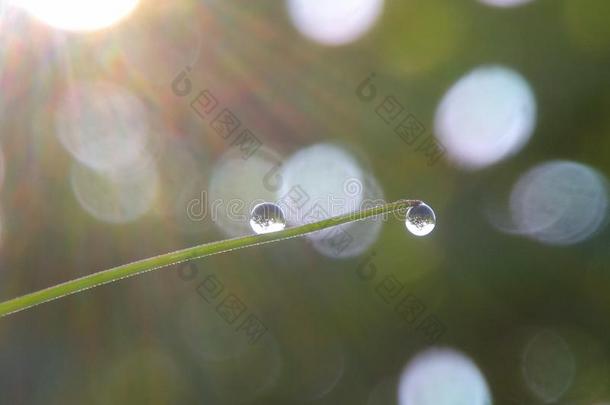 水珠,水珠光,水珠早晨