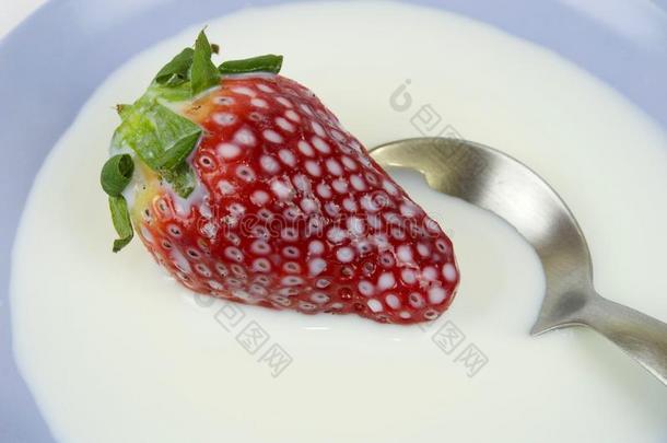 草莓给洗澡采用奶