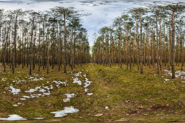 步行试验采用指已提到的人森林-全景画360.波兰2013