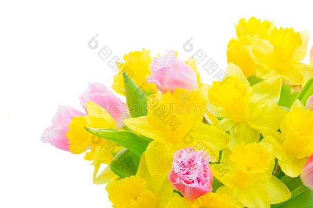 花束关于郁金香和黄水仙