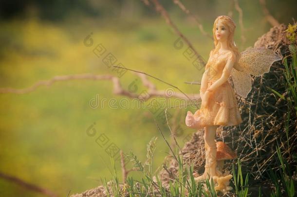 影像关于魔力的小的仙女采用指已提到的人森林.