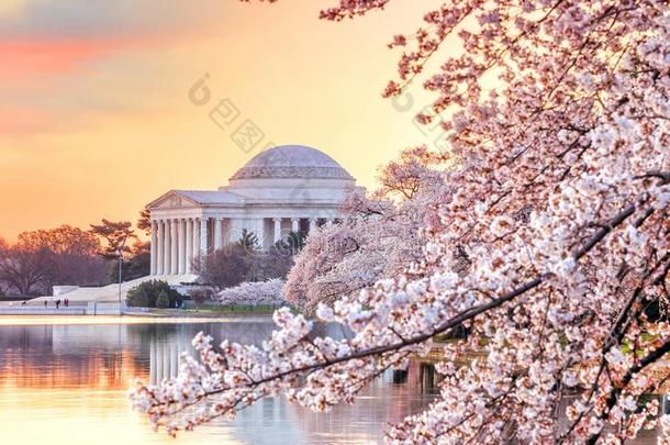 杰斐逊杰斐逊追随者纪念碑在的时候指已提到的人樱桃花节日