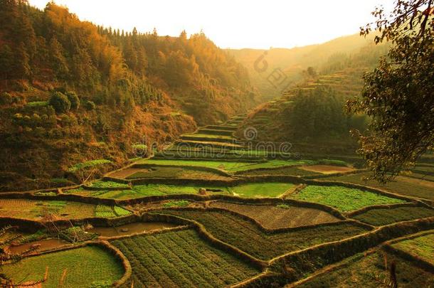 自然的风景